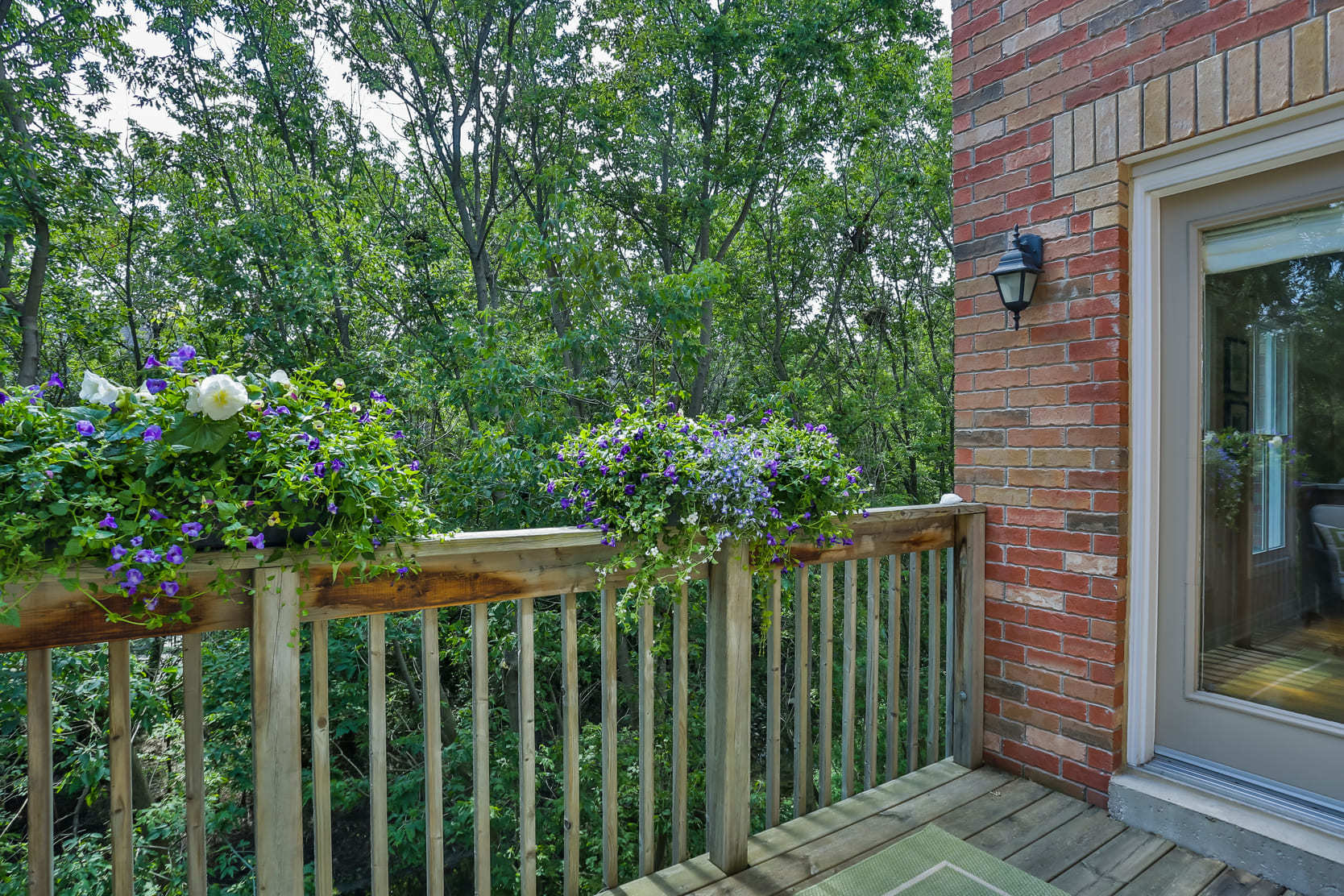 Back patio of a Toronto patio with spring foliage in the background